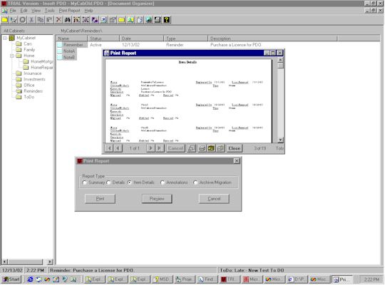 Personal Document Organizer - print report preview.